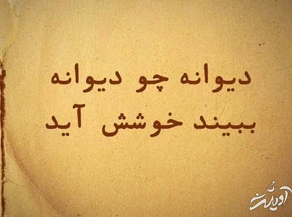 ضرب المثل شیرین و جالب دیوانه چو دیوانه ببیند خوشش آید  ضرب المثل